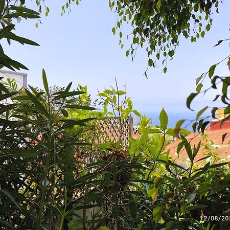 Casa Flora Garden Studio Sauzal Εξωτερικό φωτογραφία