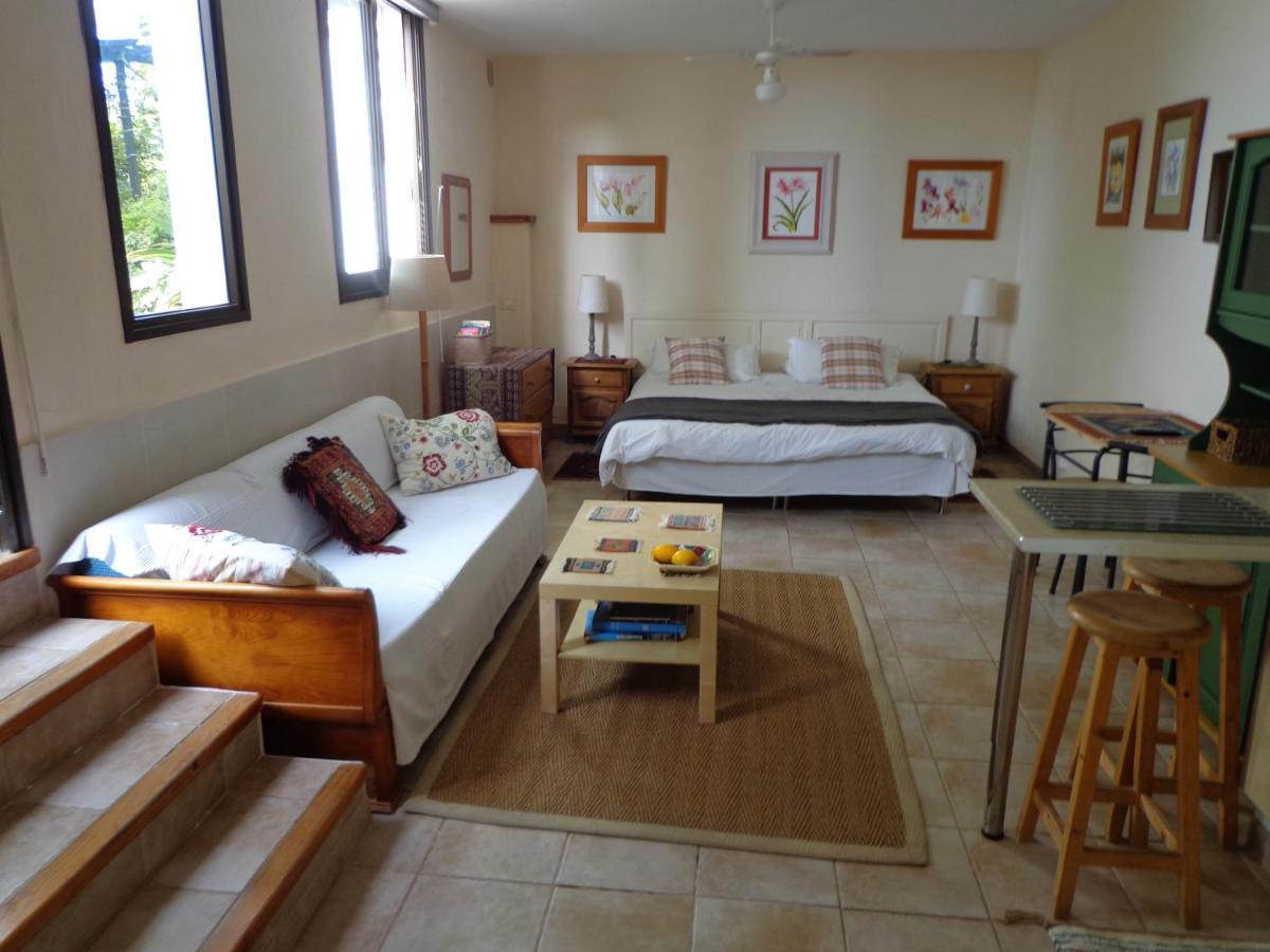 Casa Flora Garden Studio Sauzal Εξωτερικό φωτογραφία