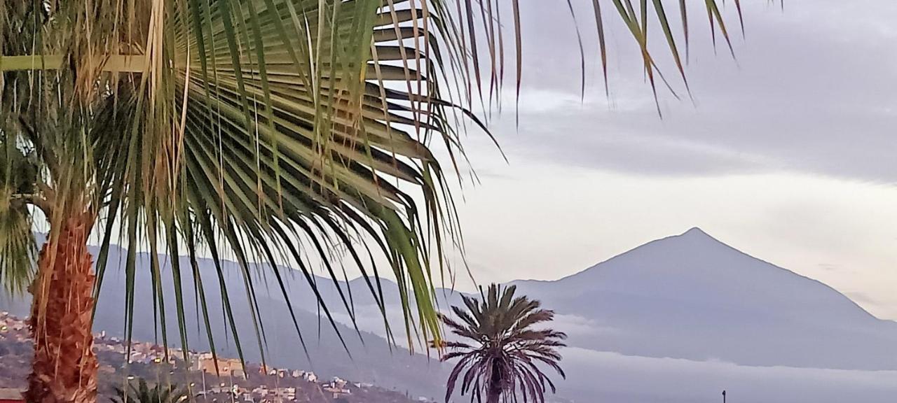 Casa Flora Garden Studio Sauzal Εξωτερικό φωτογραφία