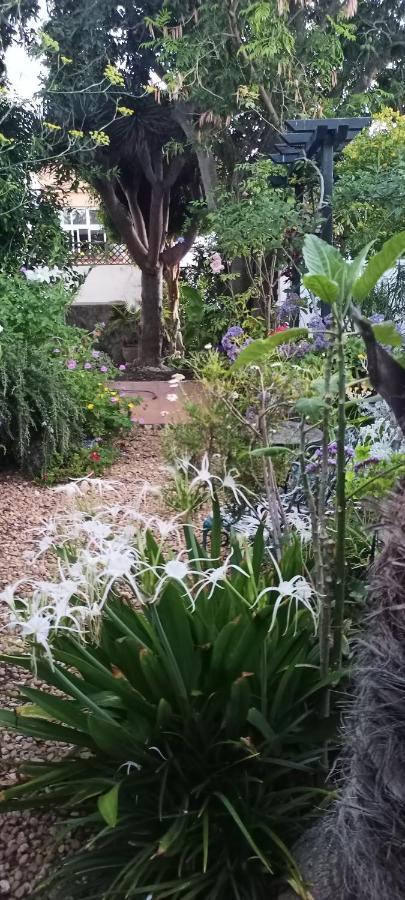 Casa Flora Garden Studio Sauzal Εξωτερικό φωτογραφία