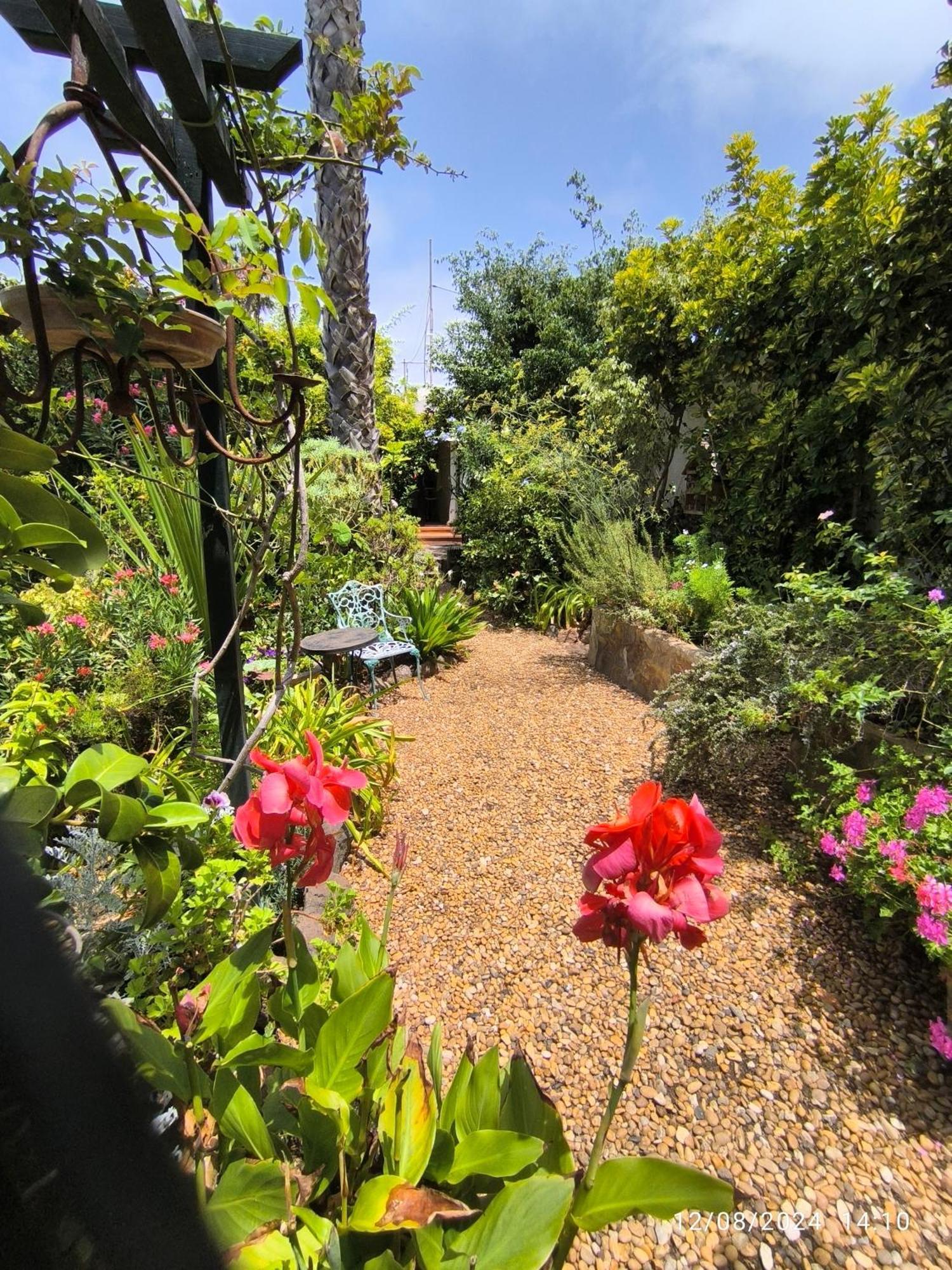 Casa Flora Garden Studio Sauzal Εξωτερικό φωτογραφία