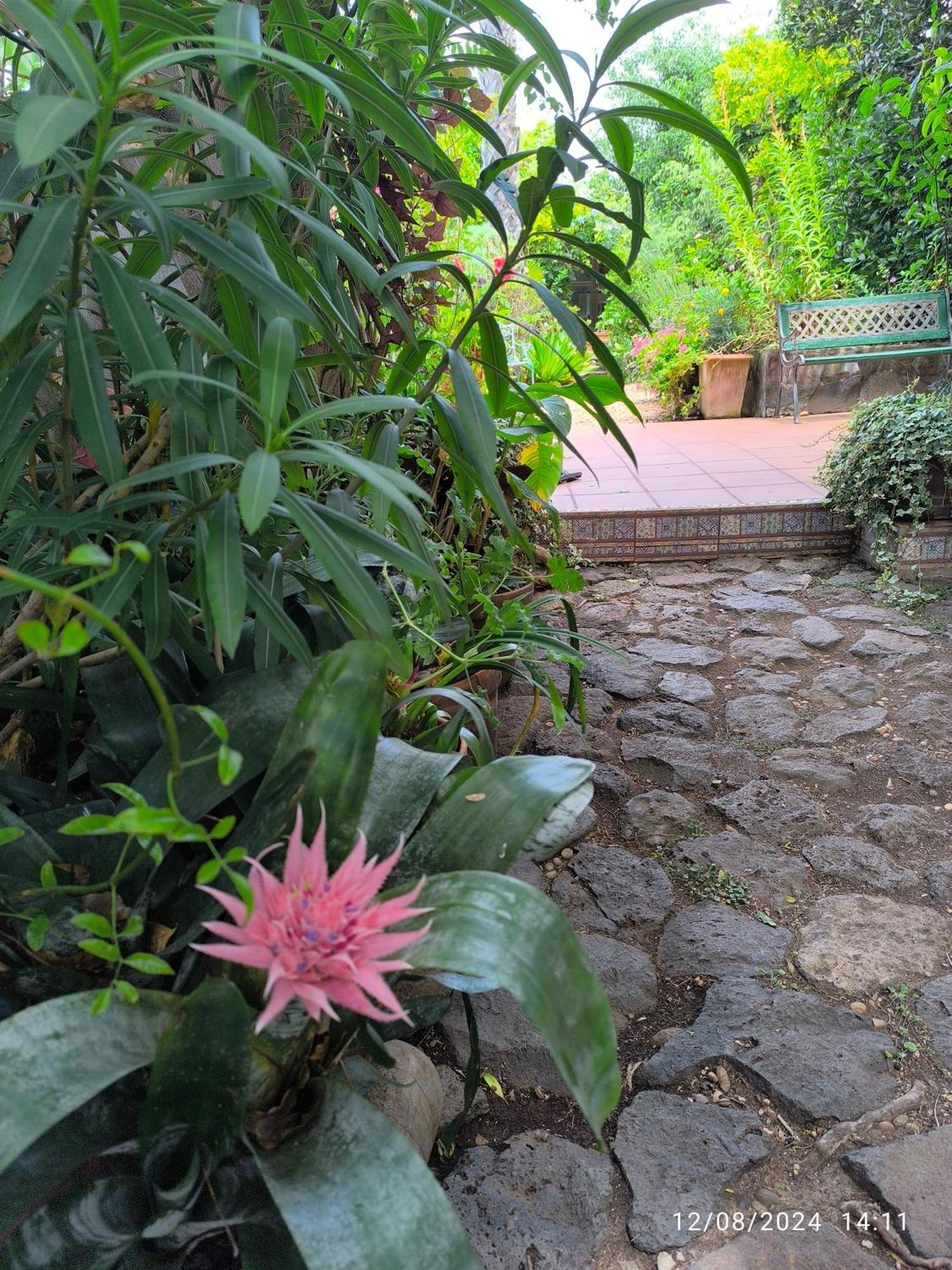 Casa Flora Garden Studio Sauzal Εξωτερικό φωτογραφία