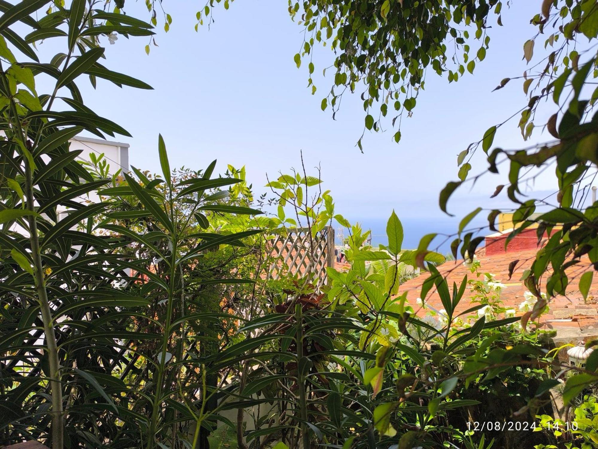 Casa Flora Garden Studio Sauzal Εξωτερικό φωτογραφία